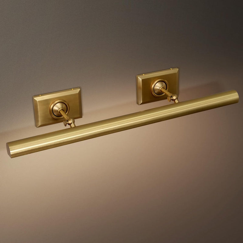 Anite Picture Light
