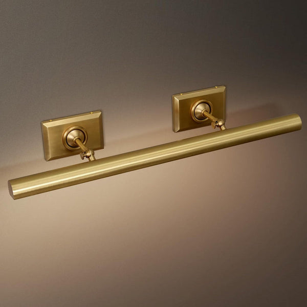 Anite Picture Light
