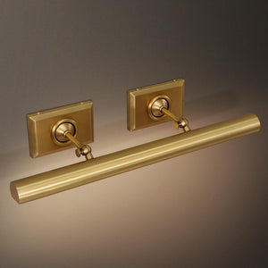 Anite Picture Light