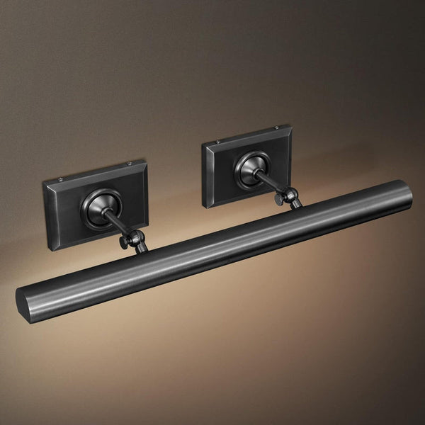 Anite Picture Light