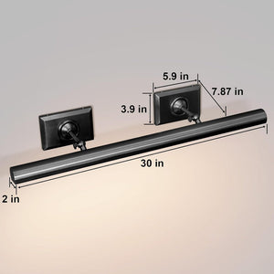 Anite Picture Light