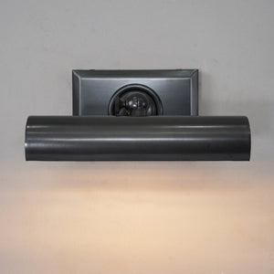 Anite Picture Light